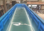 Piscina Container 11 Metri "All Season" - Vetrata e Riscaldata con Area Relax